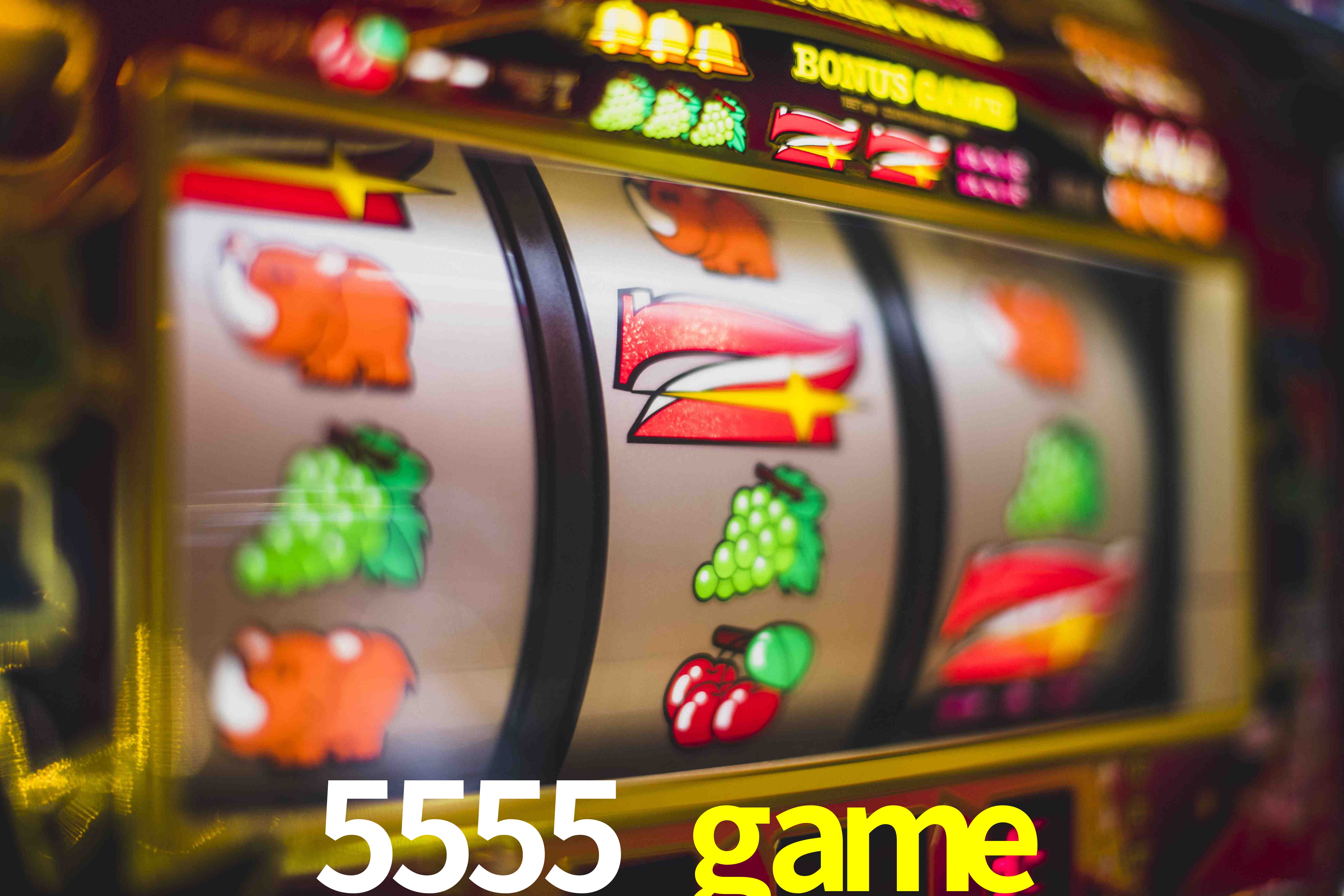 Crash Games Statistics 5555 game